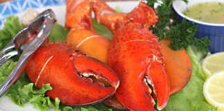 Tenazas de Langosta al Vapor